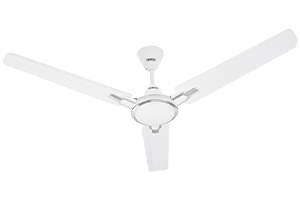 Rich White