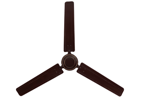 Rich Brown