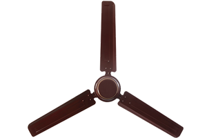 Rich Brown