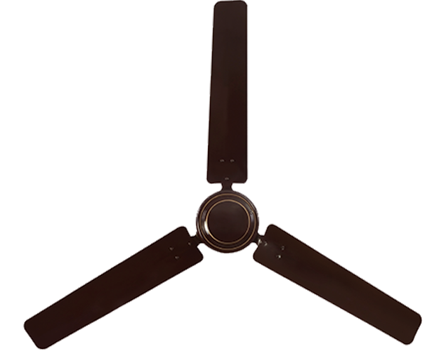 Rich Brown