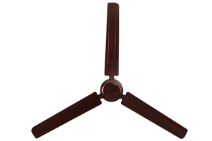 Rich Brown