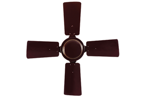 Rich Brown
