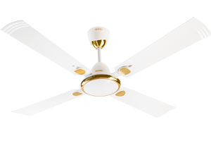 Rich White