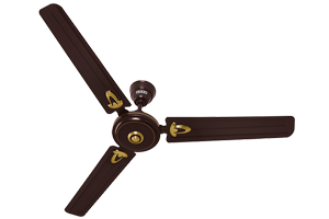 Rich Brown