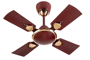 Rich Brown