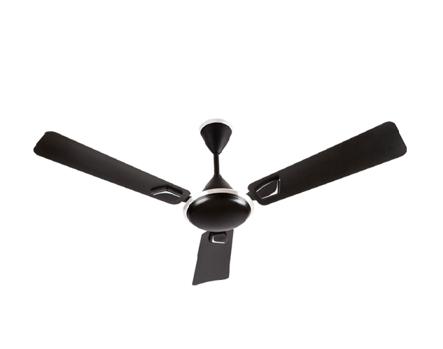 ELSA | Usha Fan