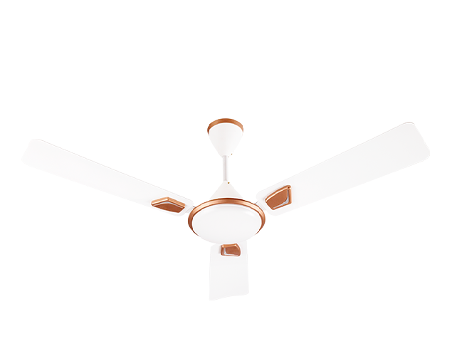 ELSA | Usha Fan