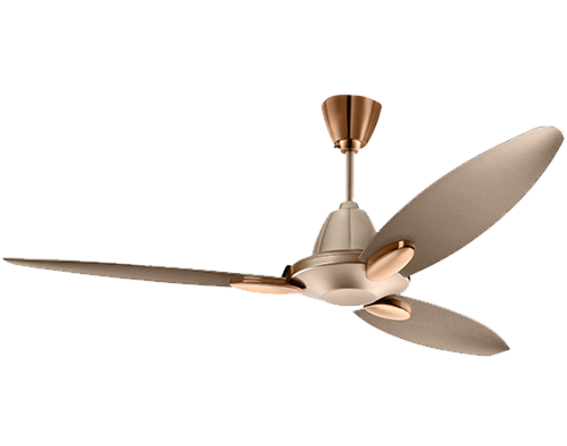 Buy Usha Bloom Daffodil Ceiling Fan Online At Best Prices In