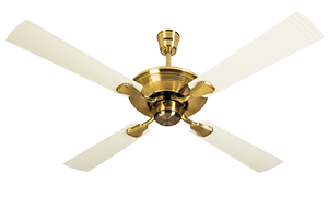 Gold Ivory