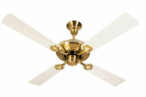Gold Ivory