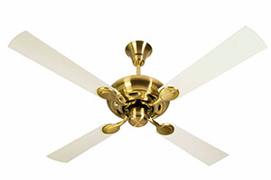 Gold Ivory
