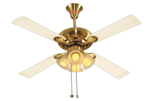 Gold Ivory