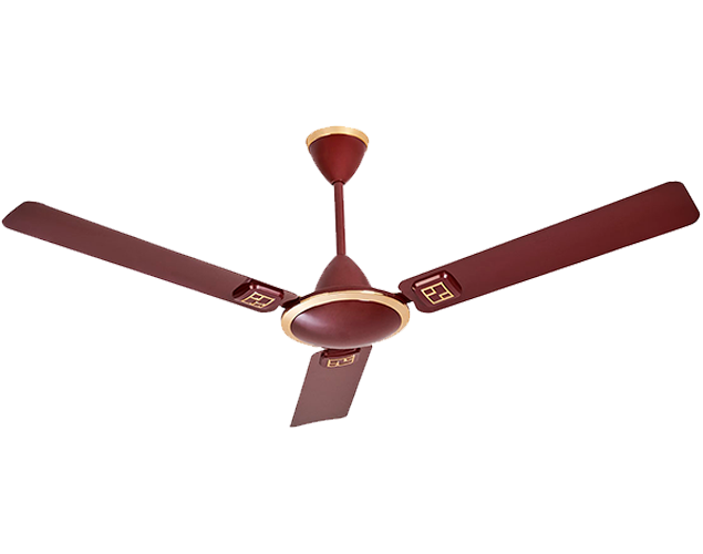Buy Usha Nabila Ceiling Fan Online At Best Prices In India