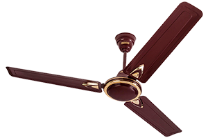Rich Brown