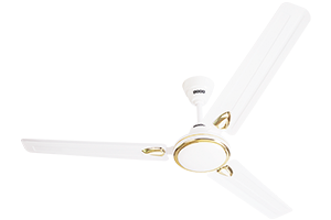 Rich White
