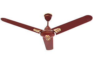 Rich Brown