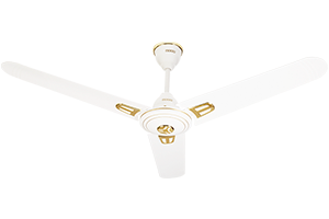 Rich White