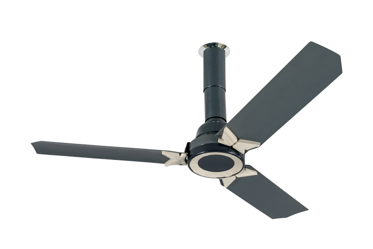 pi-plus-usha-fan
