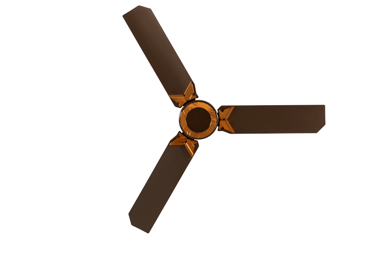 pi-plus-usha-fan