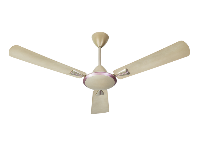 Striker Galaxy 1200 mm | Usha Fan
