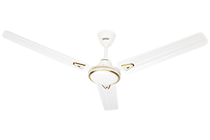 Rich White