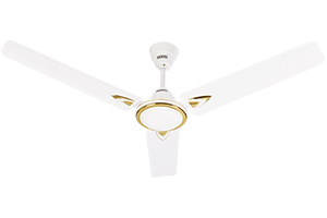 Rich White