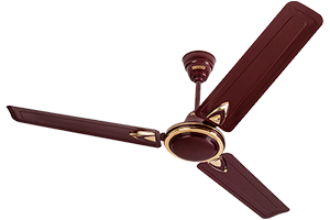 Rich Brown