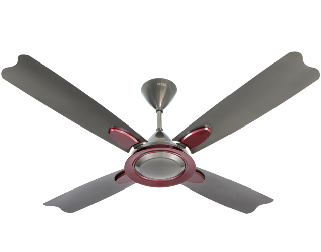 Buy Usha Bloom Primrose Ceiling Fan 
