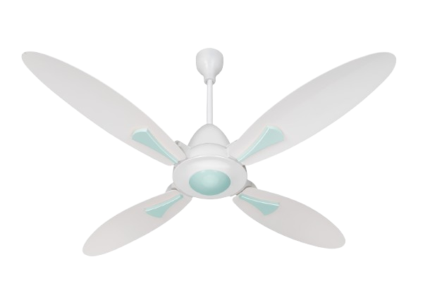 White & Light Green