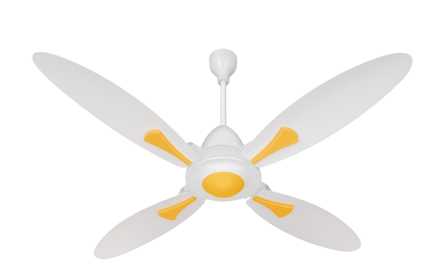 White & Yellow