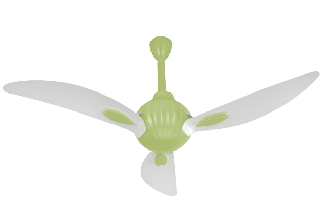White & Light Green