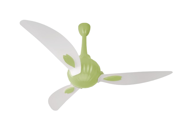 White & Light Green