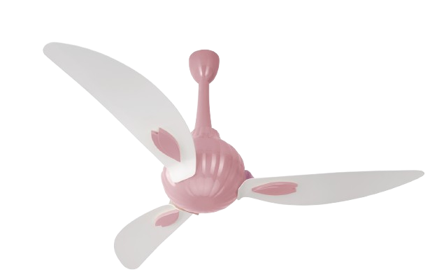 White & Light Pink
