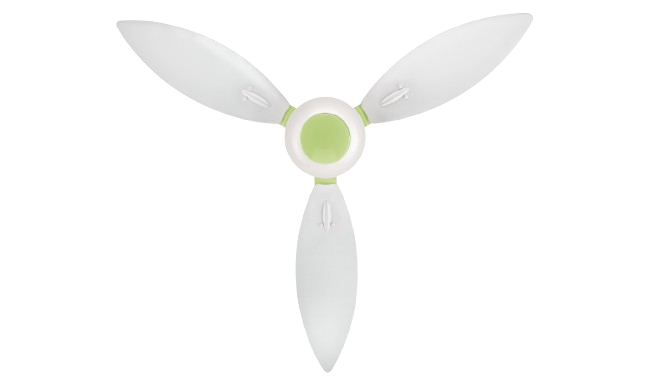 Lily Glow 