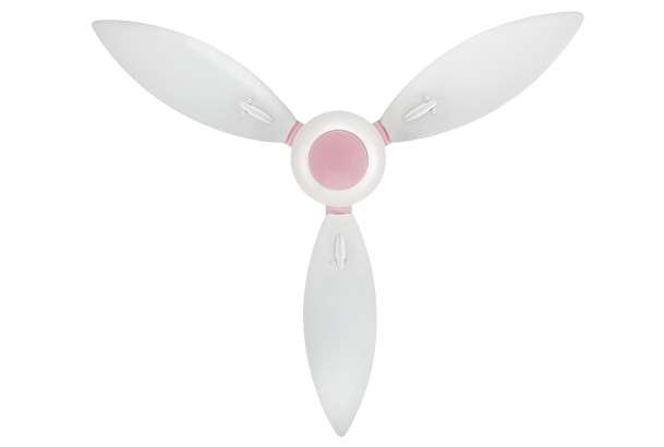 Lily Glow 