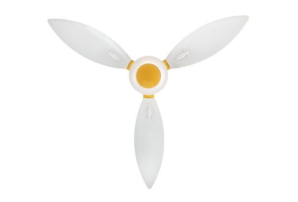 Lily Glow 