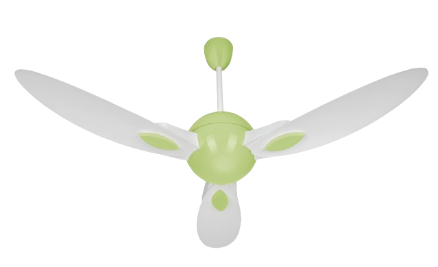White & Light Green