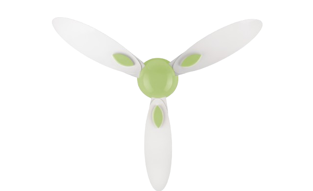 White & Light Green
