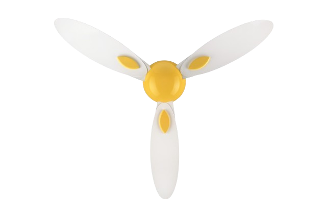 White & Yellow